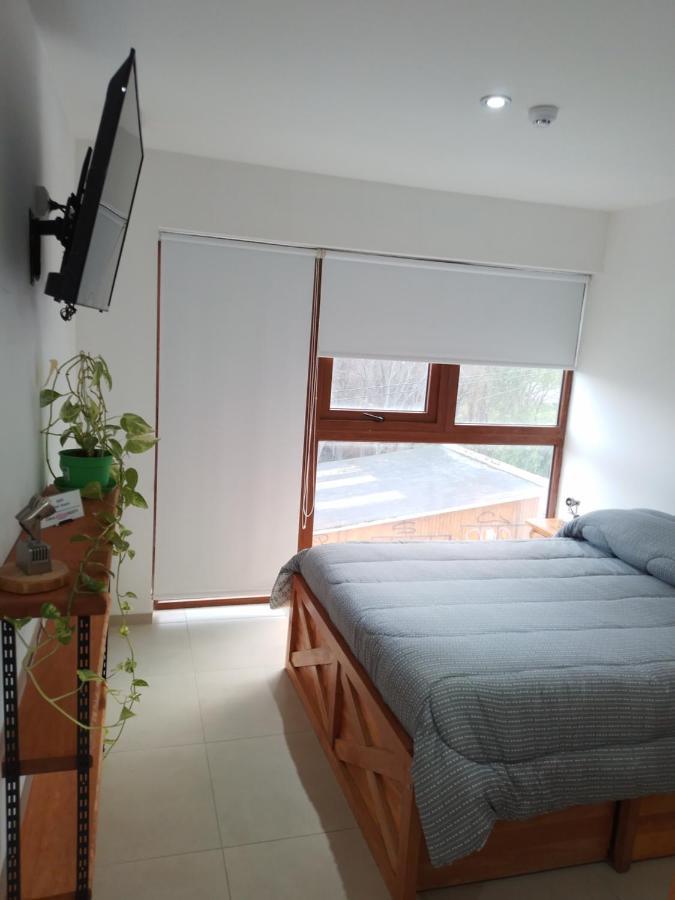 Departamento Centrico Krenn Apartment อูซัวยา ภายนอก รูปภาพ