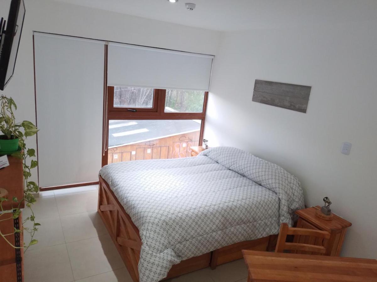 Departamento Centrico Krenn Apartment อูซัวยา ภายนอก รูปภาพ